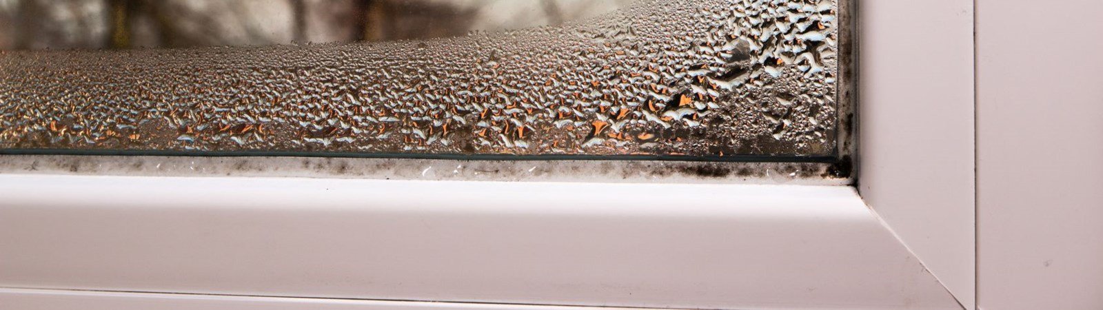Nasse Fenster im Winter: 5 Tipps, damit sich kein Kondenswasser mehr bildet